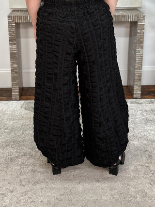 Fly Pant, Black Pucker